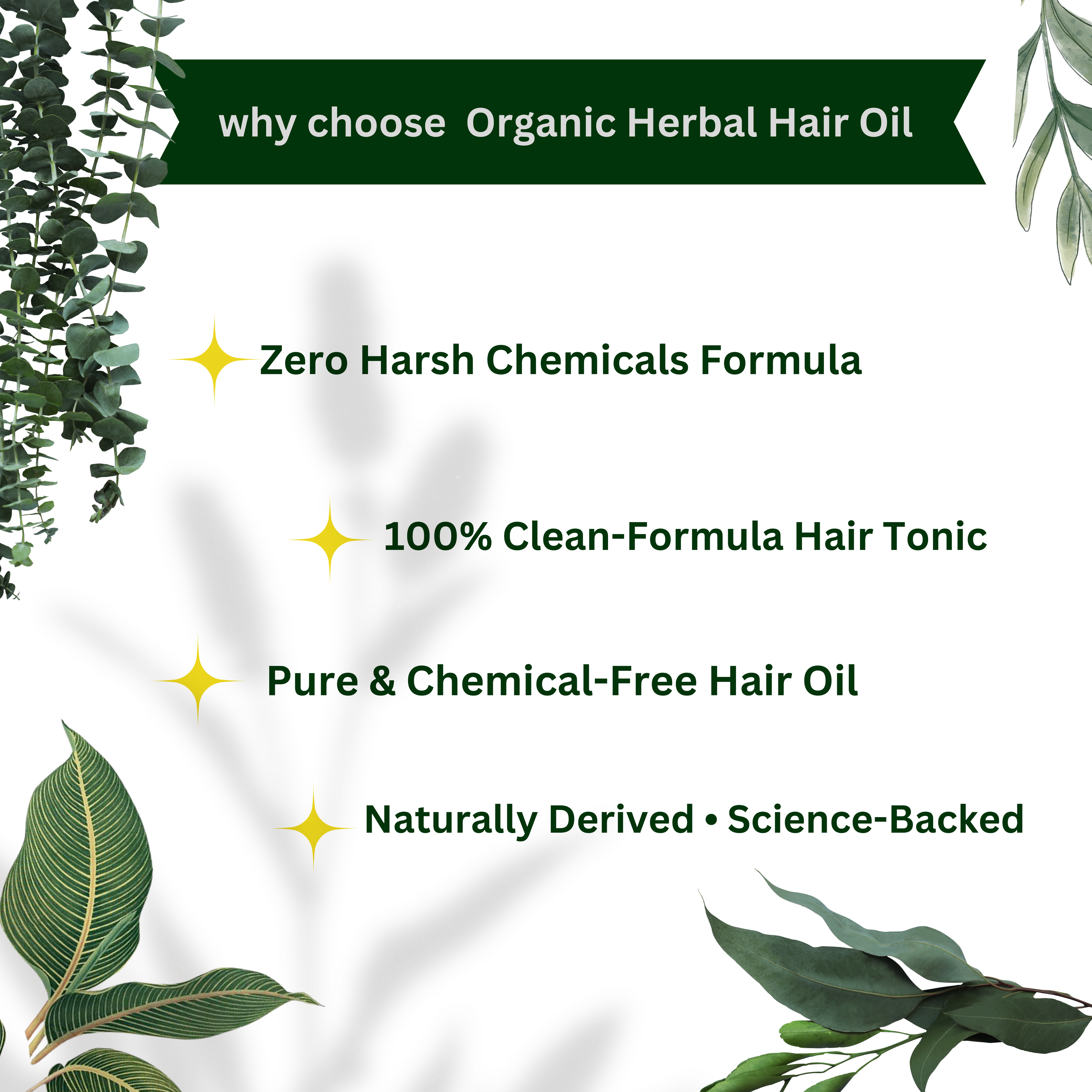 Al Raheem Organics Hair Oil & Hair Toner Combo Pack 🌿